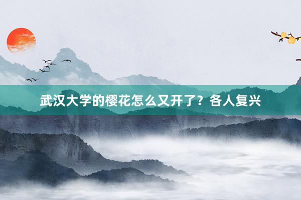 武汉大学的樱花怎么又开了？各人复兴